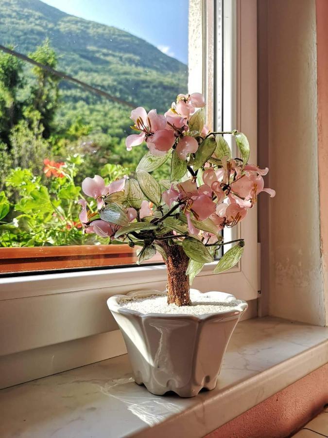 Appartement Apartma Floncna à Bovec Extérieur photo